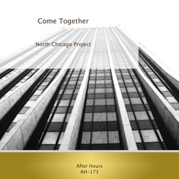 North Chicago Project