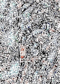 Untitled8